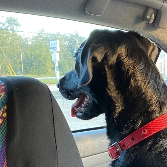 Tori Oberry - Poshmark Profile Picture of Tori Oberry (@torioberry) on Poshmark