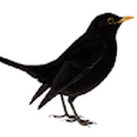 Profile Picture of Richard Berridge (@richard-berridge-7) on Quora