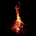 Profile Picture of Thomas Veale (@v_ymmot) on Instagram