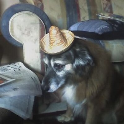 Profile Picture of Andrew (@andrew_ashley) on Twitter