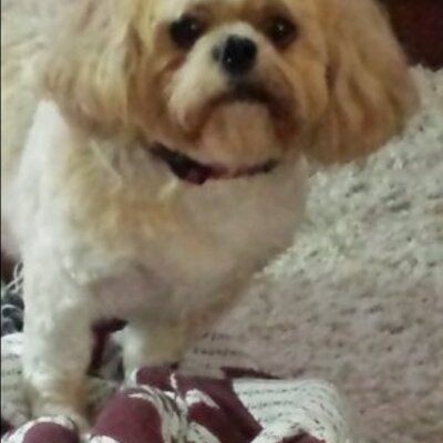 Profile Picture of Paul Binkley (@zander1278) on Twitter