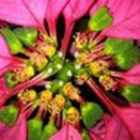 Profile Picture of David Cole (@davidcole778) on Poshmark