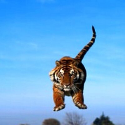 Profile Picture of Samuel Bateman (@sillysammy123) on Twitter