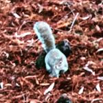 Profile Picture of julien (@julien_giraud____) on Instagram