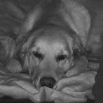 Profile Picture of Christian Stolle (@stolle.christian) on Instagram