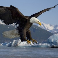 Profile Picture of Michael Lefebvre (@michael-lefebvre-9) on Quora