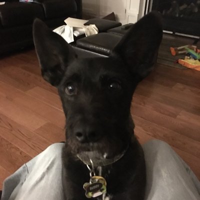 Profile Picture of James Bradstreet (@jimbo0233) on Twitter