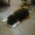 Profile Picture of Neal Swartz (@grandpaneal) on Instagram