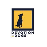 Profile Picture of Ben Davidson (@devotiontodogs) on Instagram