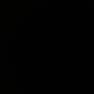 Profile Picture of Steven Roman (@romansteven) on Instagram