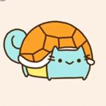 Bianca Rios - Instagram Profile Picture of Bianca Rios (@thewiseturtle24) on Instagram