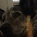 Profile Picture of Andrew Zylstra (@andrew.zylstra.5) on Facebook
