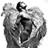 Profile Picture of mlokken (@mlokken) on Flickr