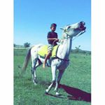 Profile Picture of Brian Más Coito (@brianmascoito17) on Instagram