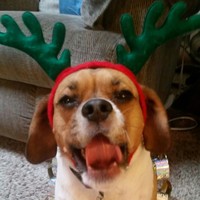 Profile Picture of Bree Peterson (@bree-peterson-4) on Quora