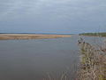 Profile Picture of Combahee River - Wikipediaon Wikipedia