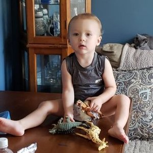 Profile Picture of Jared Whitaker (@BakedMcHighguy) on Twitter