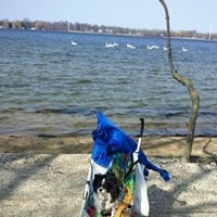 Profile Picture of Susan Renick (@susan-renick-1) on Quora