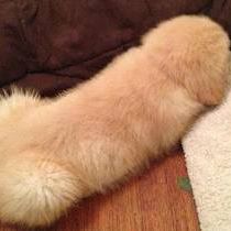 Profile Picture of Geraldo Andrade (@geraldo.andrade.90038) on Facebook