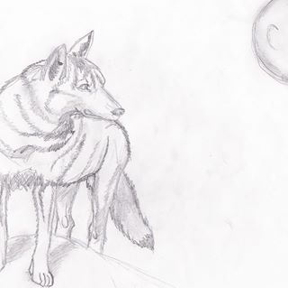 Profile Picture of Cristian Soraci (@jarekulovsky.sc) on Facebook