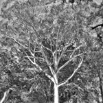 Profile Picture of Michael John Dodd (@michaeldodd3550) on Instagram