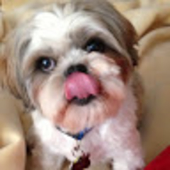 Profile Picture of John Grob (@jfgrob) on Poshmark