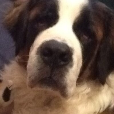 Profile Picture of Pamela Grimm (@grimmkp) on Twitter