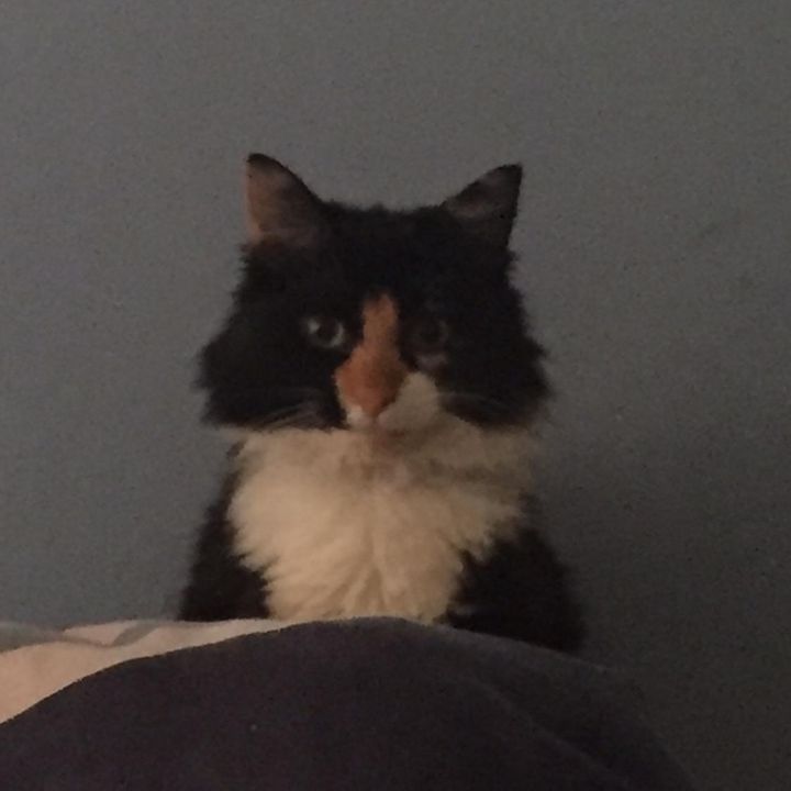 Profile Picture of James Page (@jamespage72) on Tiktok