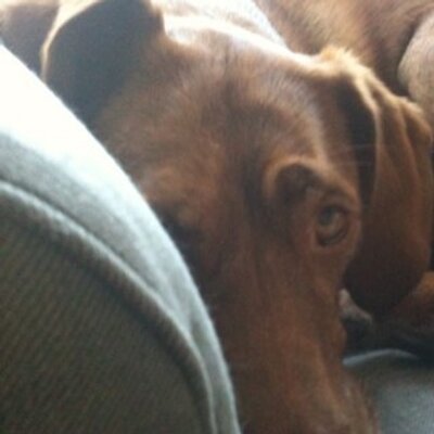 Profile Picture of Sandra Linnenkamp (@tenemila) on Twitter