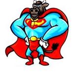 Profile Picture of Greg Kehoe (@kehoegreg) on Instagram