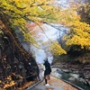 Profile Picture of April Cheung (@@aprilcheung) on Tiktok