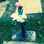 Profile Picture of nigel_king_williams (@nigel_king_williams) on Instagram