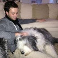 Profile Picture of Max Versteegen (@max-versteegen) on Quora