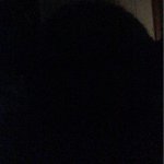 Profile Picture of Austinjarrell (@austin_jarrell13) on Instagram