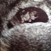 Profile Picture of Brendan Zorcik (@brendanzorcik) on Pinterest