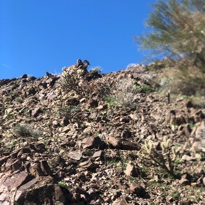 Profile Picture of Charles McLaughlin (@Charles13064457) on Twitter