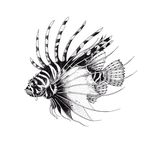 Profile Picture of Charlène BREMS (@charlene.brems) on Instagram