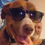 Profile Picture of Steve Aldridge (@stevea1414) on Instagram