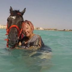 Profile Picture of heiketheuer (@heiketheuer) on Tiktok