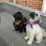 Profile Picture of Sheryl Fraser (@sherylfraser) on Instagram