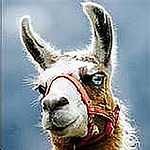 Profile Picture of Justin Kehoe (@justinkehoe) on Flickr