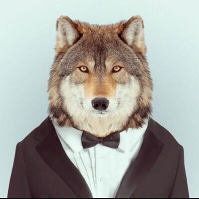 Profile Picture of Andrew Bodine (@AndrewBodine3) on Twitter