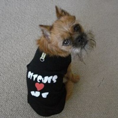 Profile Picture of Geoff Wilkie (@horrorbizz) on Twitter