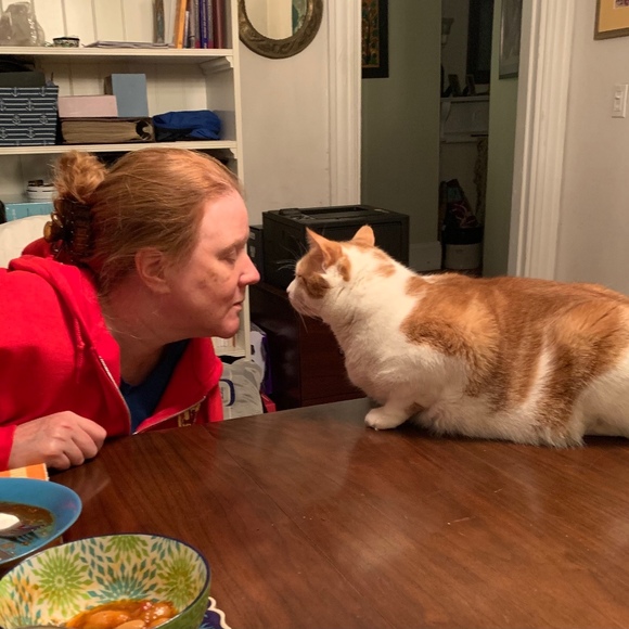 Profile Picture of Jennifer Khudairi (@jkhudairi) on Poshmark