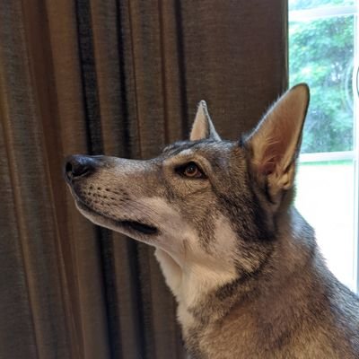Profile Picture of Joshua Wilburn (@joshmwilburn) on Twitter