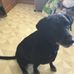 Profile Picture of Stacy Schmidt (@stacy.schmidt.9237) on Facebook