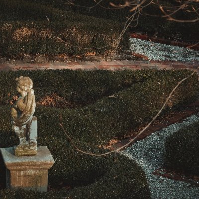 Profile Picture of Mitchell Adkins (@mitchelladkin15) on Twitter