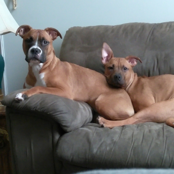 Profile Picture of Brian Mabin (@brianmabin) on Poshmark