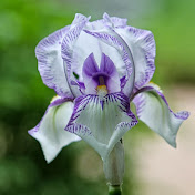 Profile Picture of Robin Brady (@robinbrady8958) on Youtube