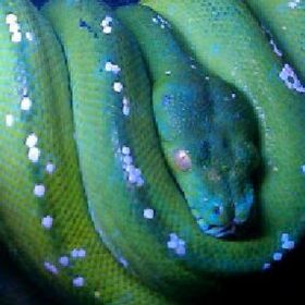 Profile Picture of Brian Verhoeks (@anysigninc) on Pinterest